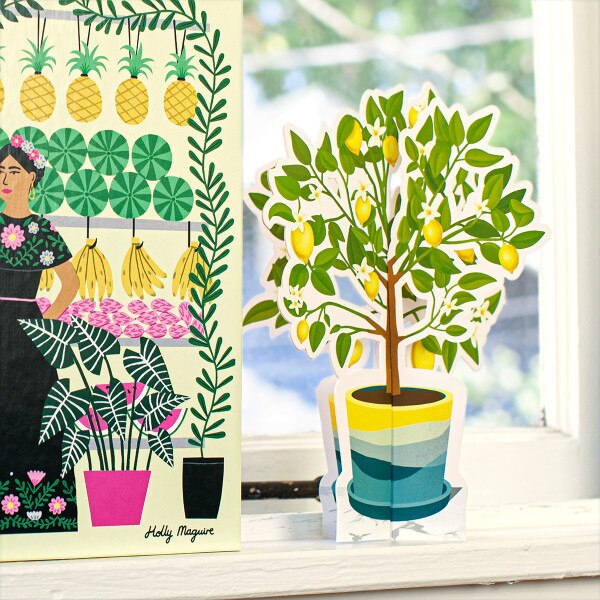 Lemon Tree Paper Plant 2